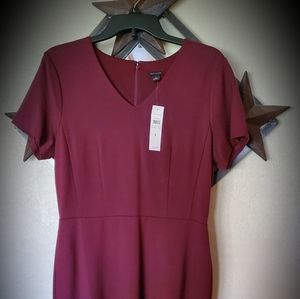 Ann Taylor dress (tall)